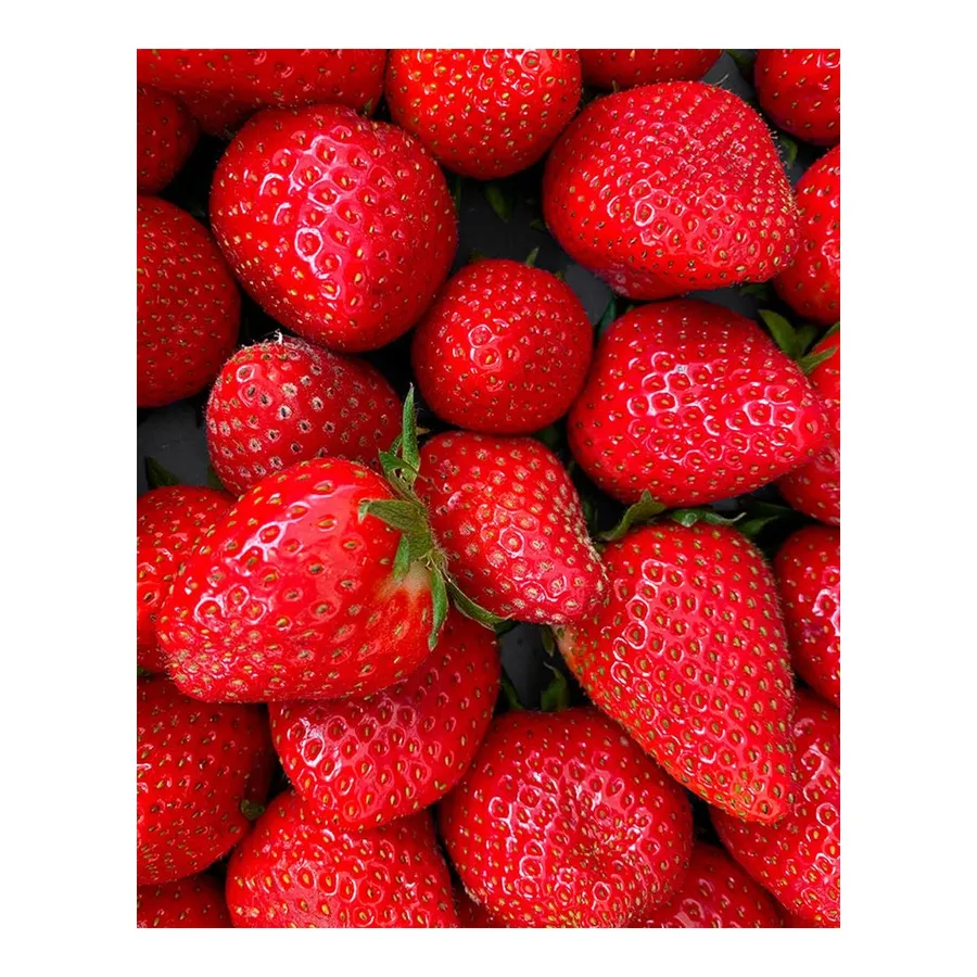 Positive Company Protein Strawberry Blast - Plant Power 490g — foto 3