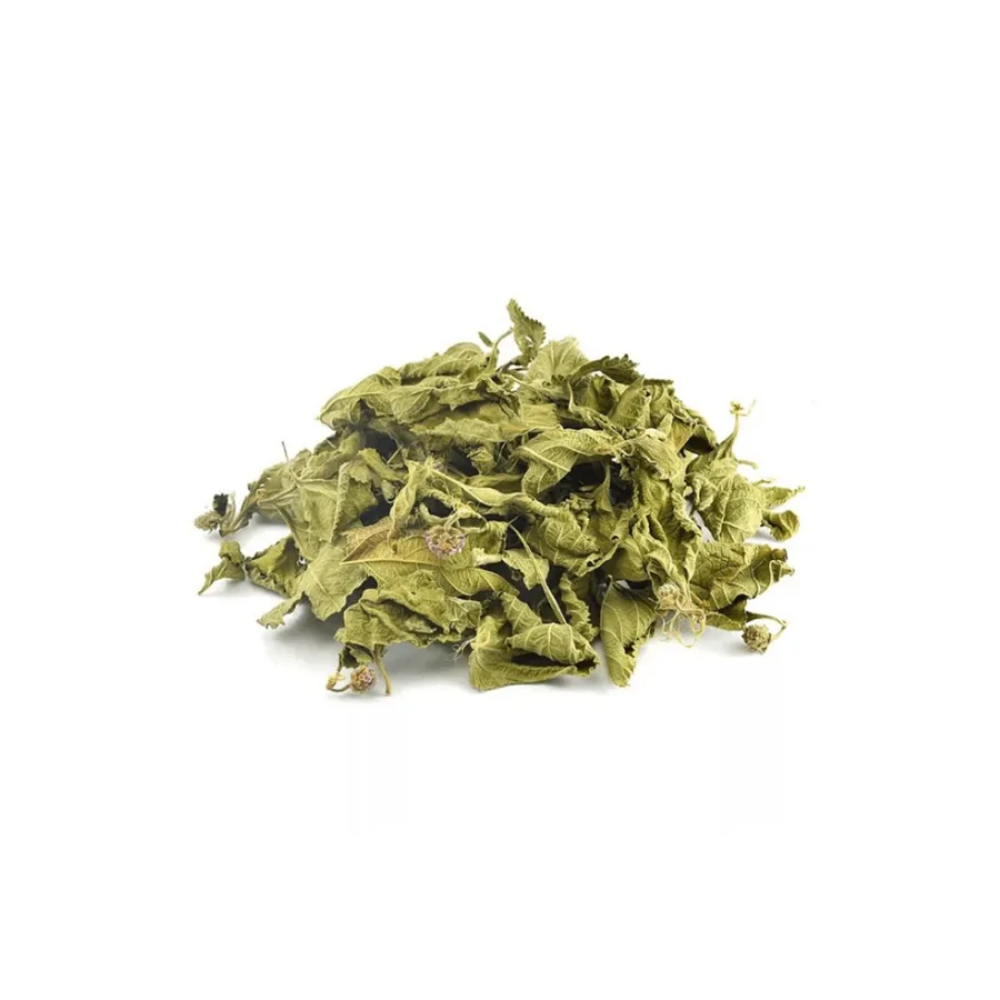 Nutri Ervas Melissa