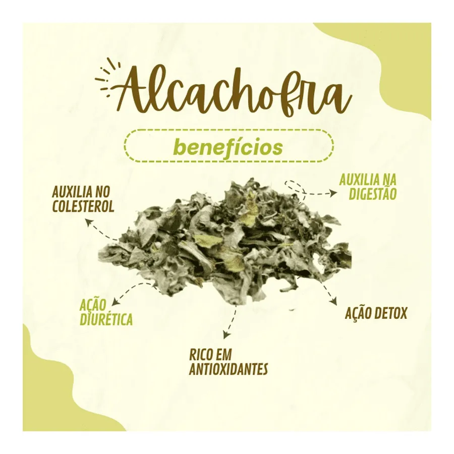 Nutri Ervas Alcachofra — foto 2