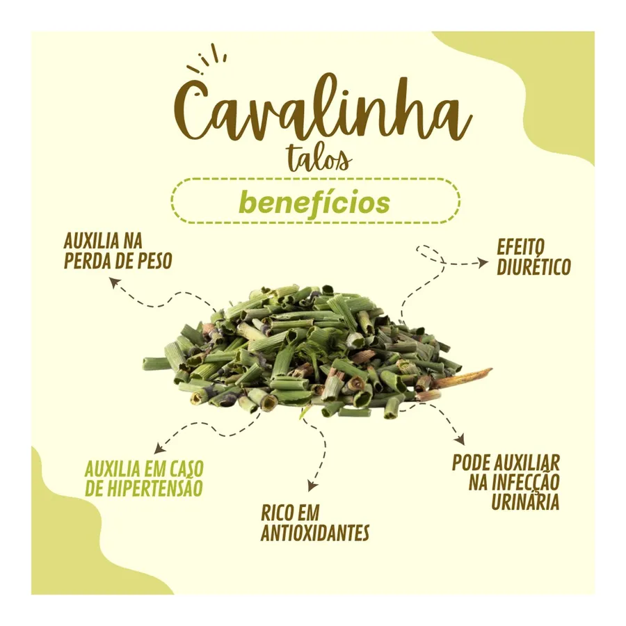 Cavalinha Chá — foto 2