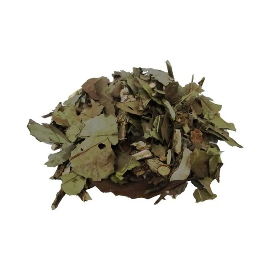 Banchá