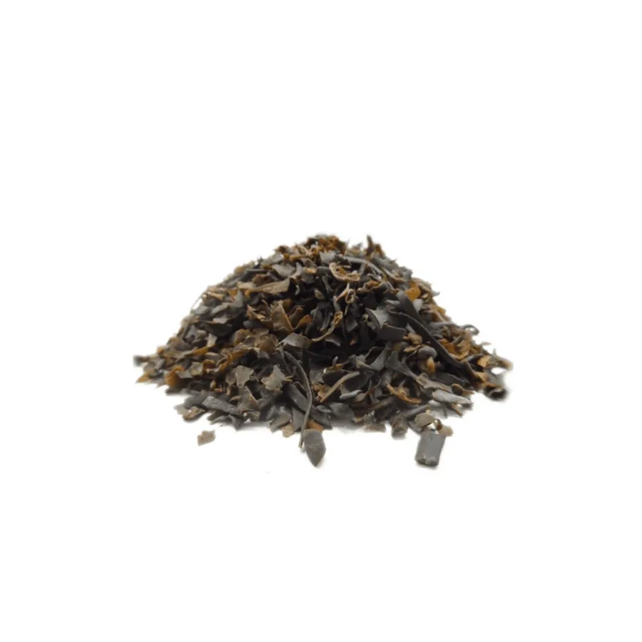 Fucus